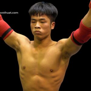 Nguyễn Trung Hải MMA