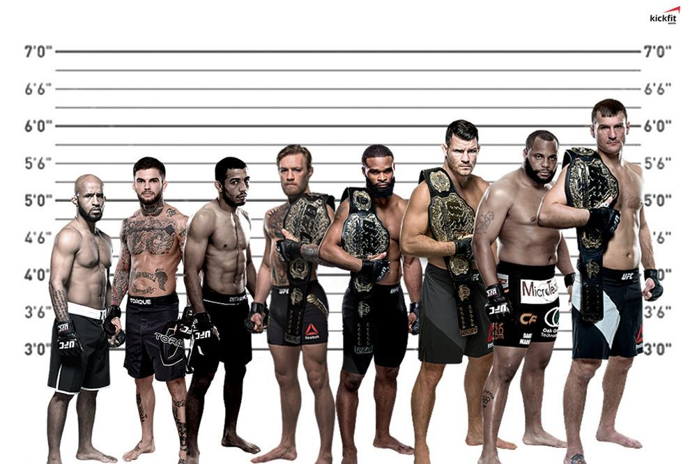 Các hạng cân MMA tính theo trọng lượng của võ sĩ
