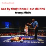 Các kỹ thuật Knock-out đối thủ trong MMA