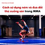 Cách sử dụng ném và đưa đối thủ xuống sàn trong MMA