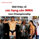 Giới thiệu về các hạng cân MMA Lion Championship