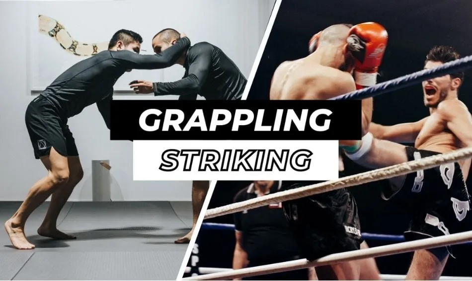 Grappling và Striking