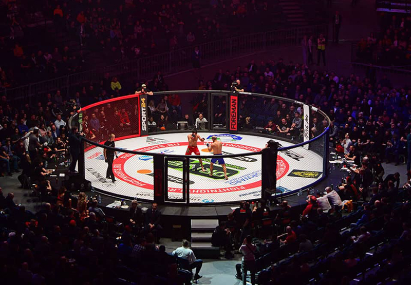 MMA - nơi các môn võ được thể hiện tự do và đa dạng