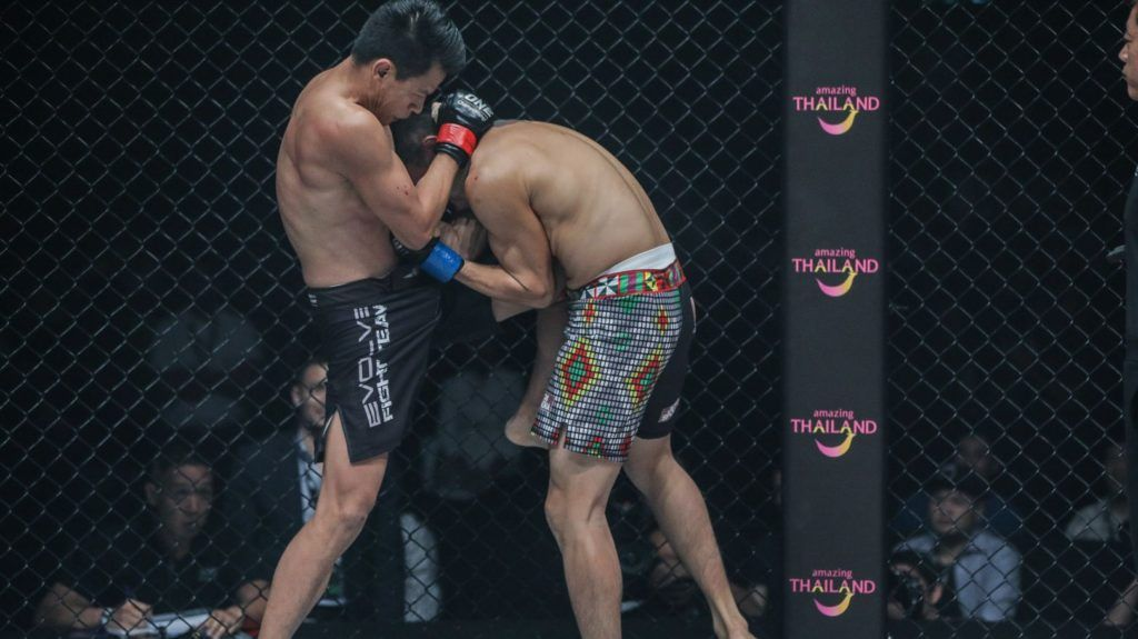 Muay Thai Clinch MMA