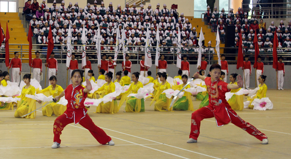 Võ phục thi đấu Wushu