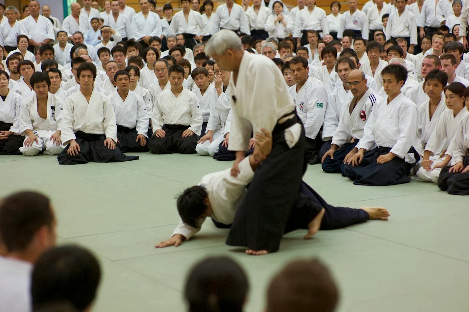 Aikido và judo 1