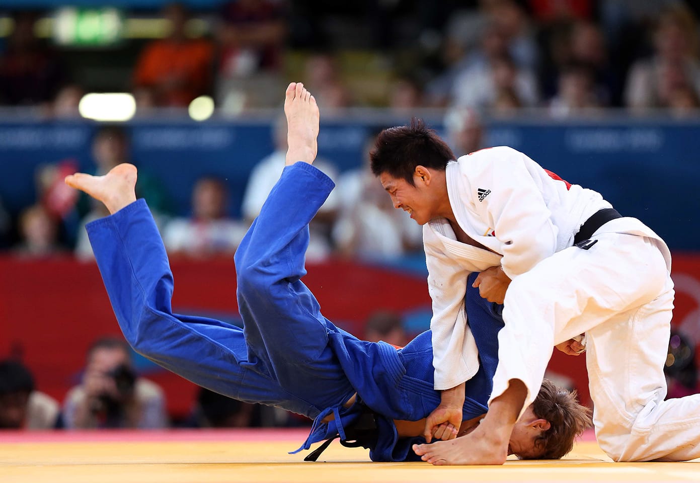 Aikido và judo 2