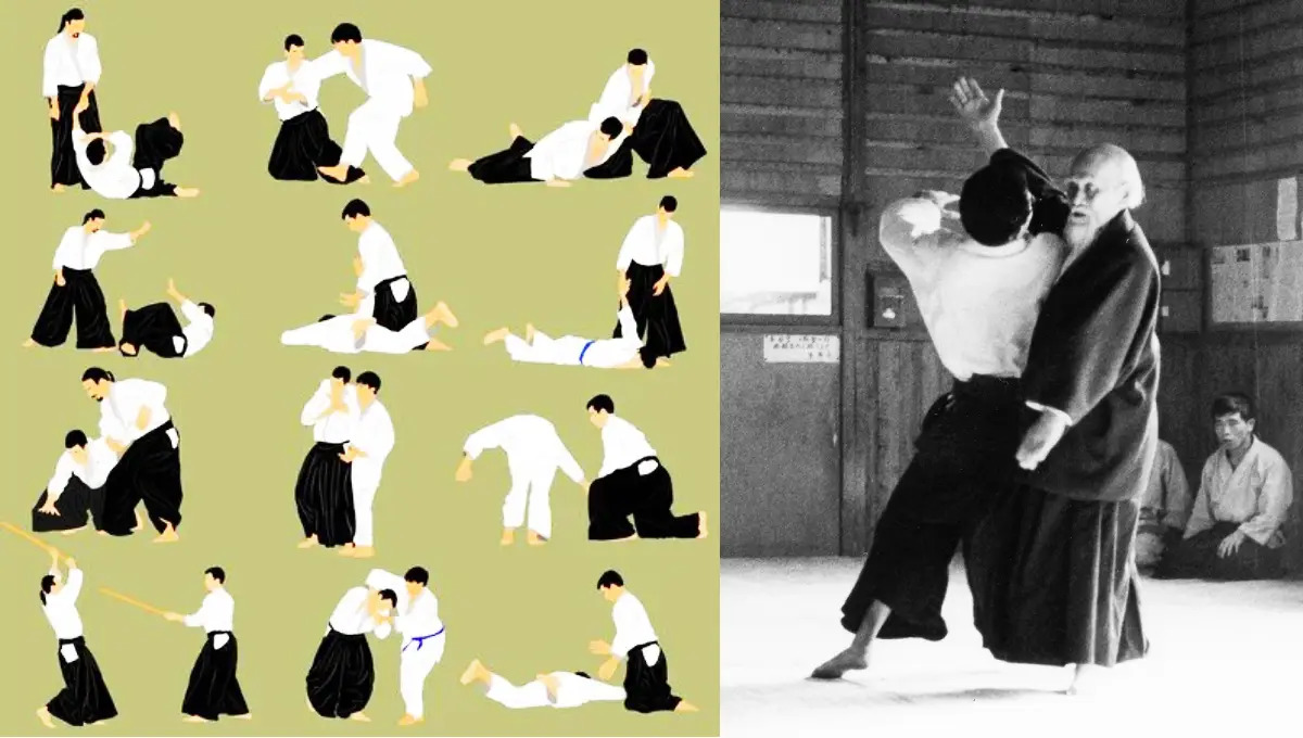 Các kỹ thuật Aikido trong thực chiến