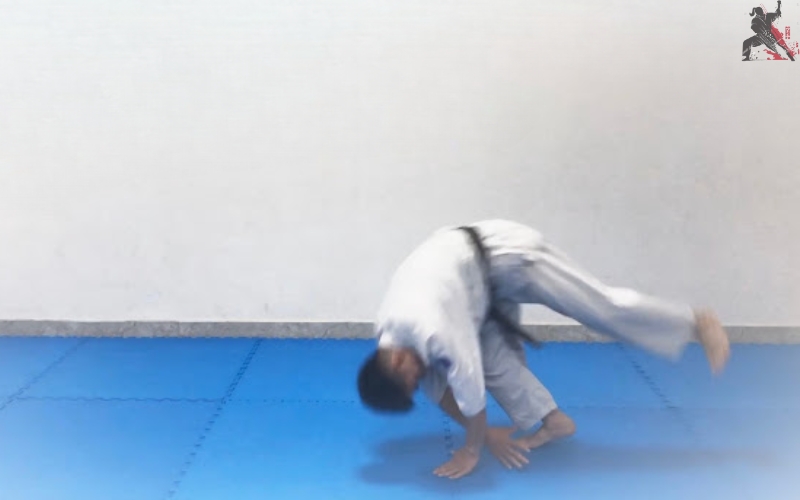 tự học aikido tại nhà (11)
