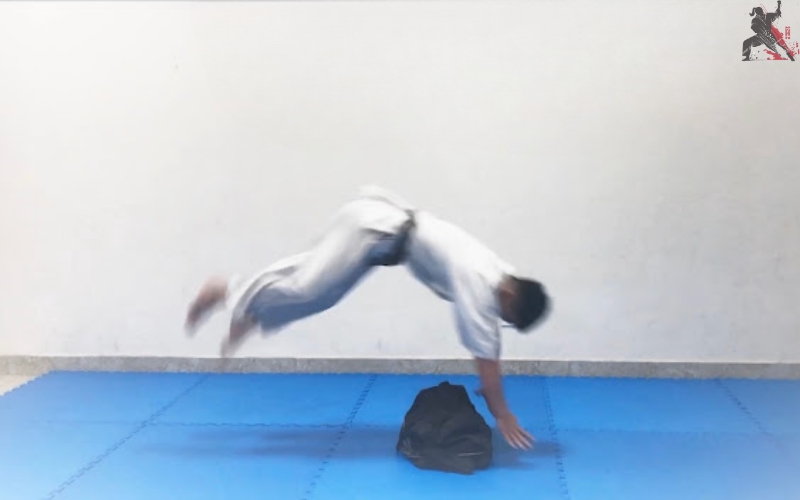 tự học aikido tại nhà (13)