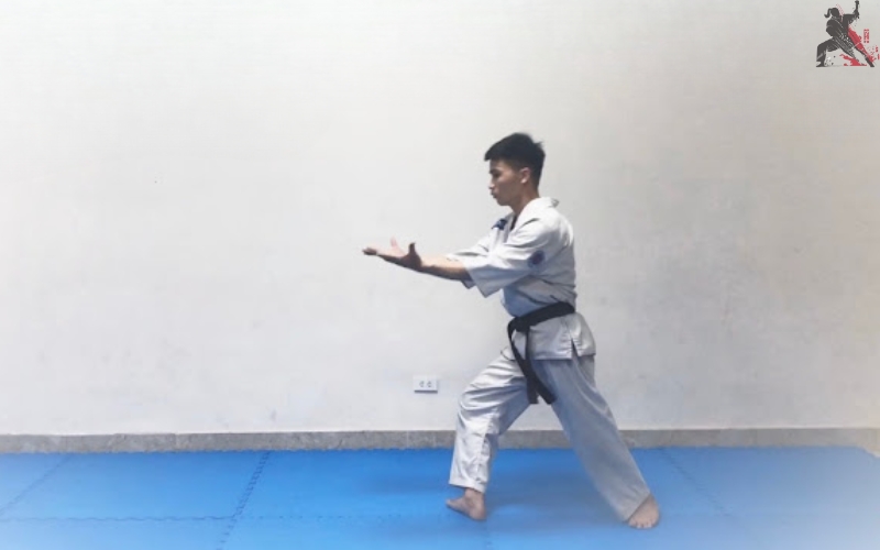 tự học aikido tại nhà (14)