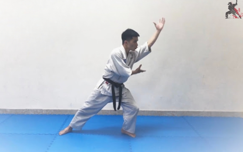 tự học aikido tại nhà (15)