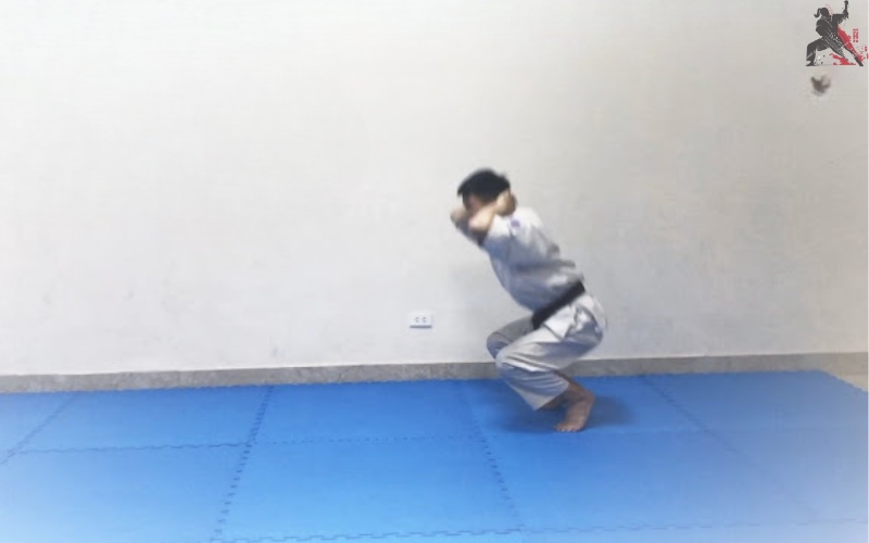 tự học aikido tại nhà (19)