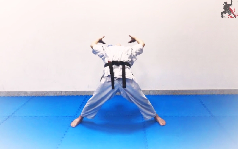 tự học aikido tại nhà (2)