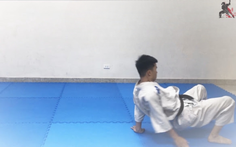 tự học aikido tại nhà (20)