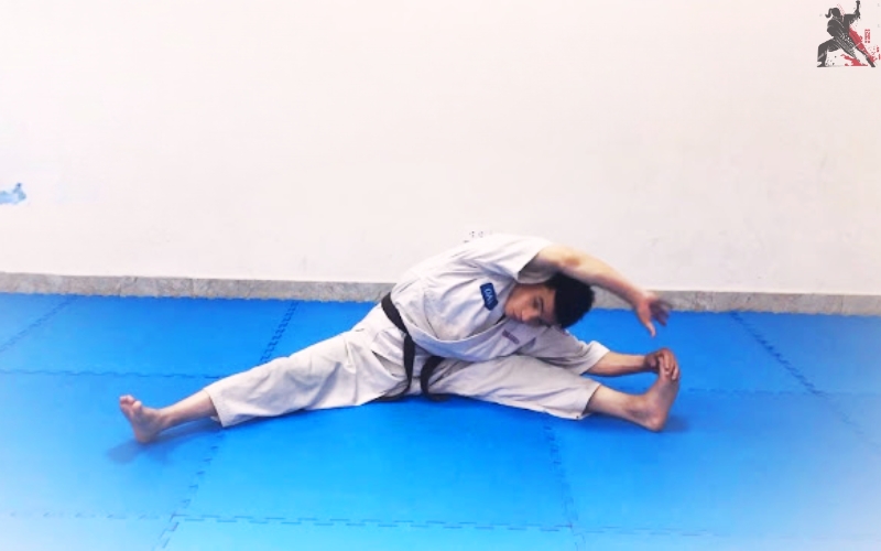 tự học aikido tại nhà (4)