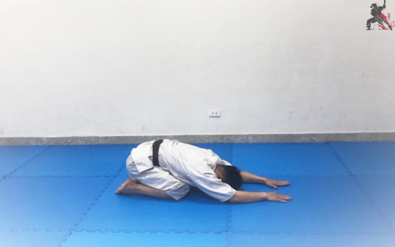 tự học aikido tại nhà (5)