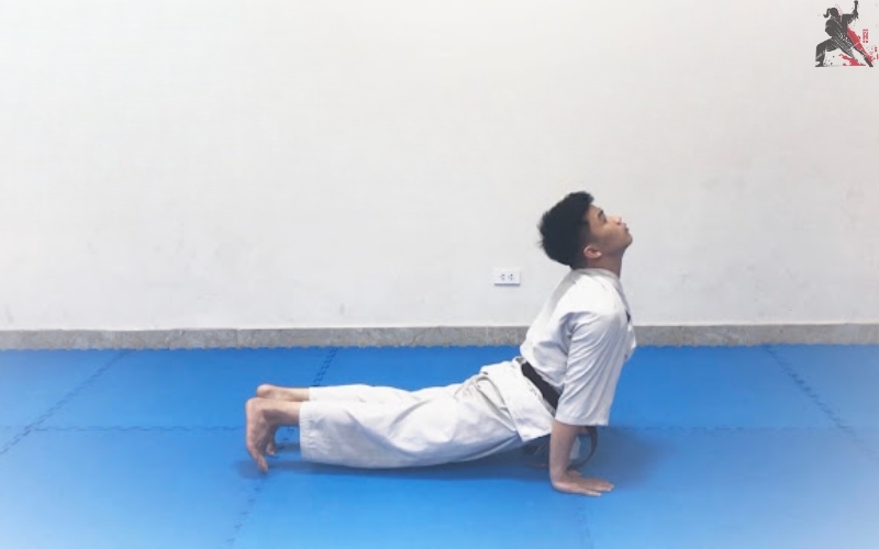 tự học aikido tại nhà (7)